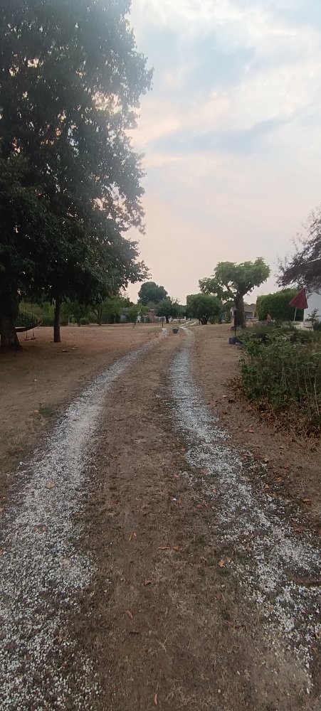 Aire camping-car  Clotte (17360) - Photo 2